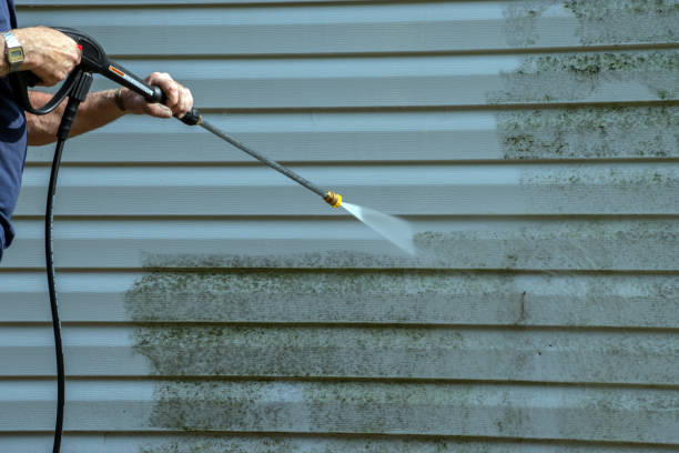 Best Gutter Cleaning  in Delcambre, LA