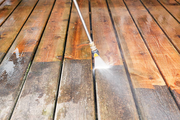 Best Solar Panel Cleaning  in Delcambre, LA